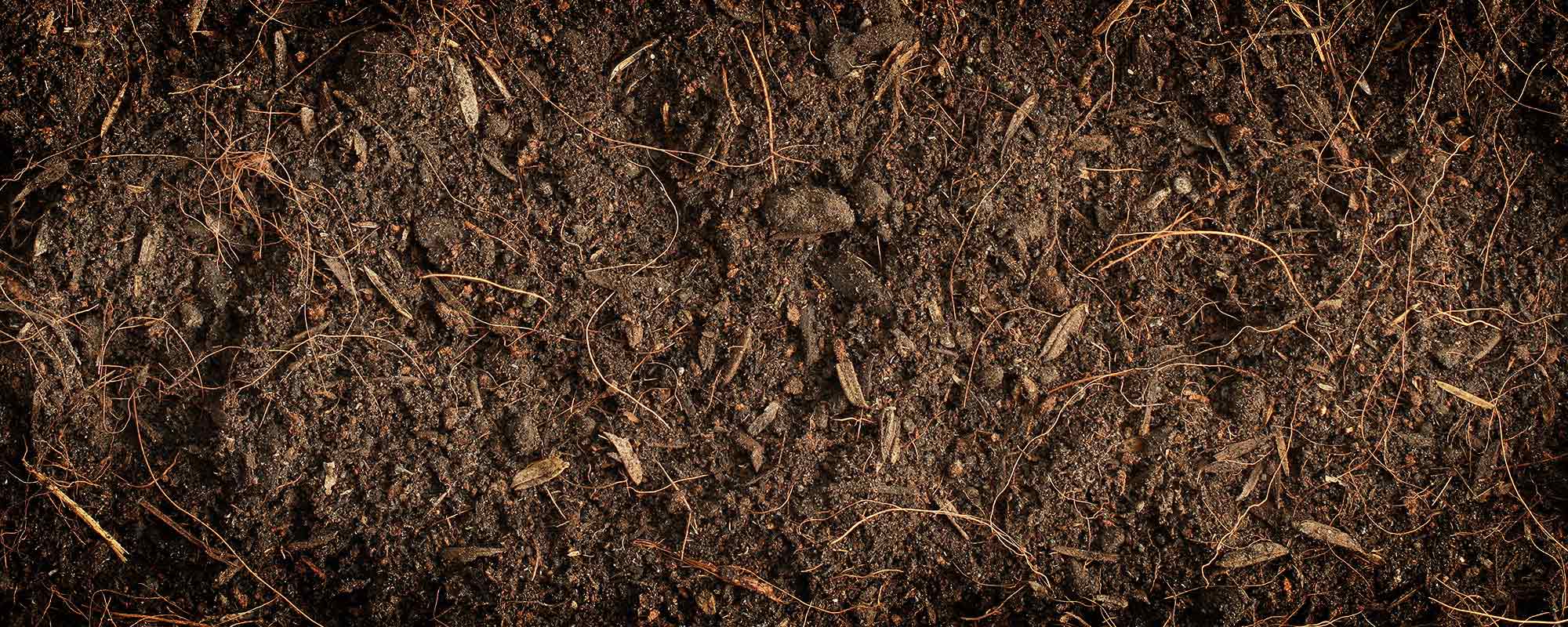 Корневой участок. Почва с травой. Земля с корешками. Текстура навоза. Корни в почве.